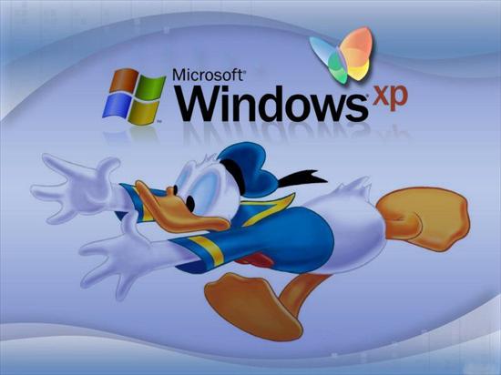 TAPETY XP - Windows xp.jpg