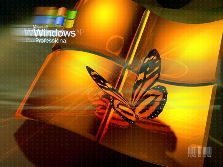 TAPETY RÓŻNE - Windows XP 6.jpg