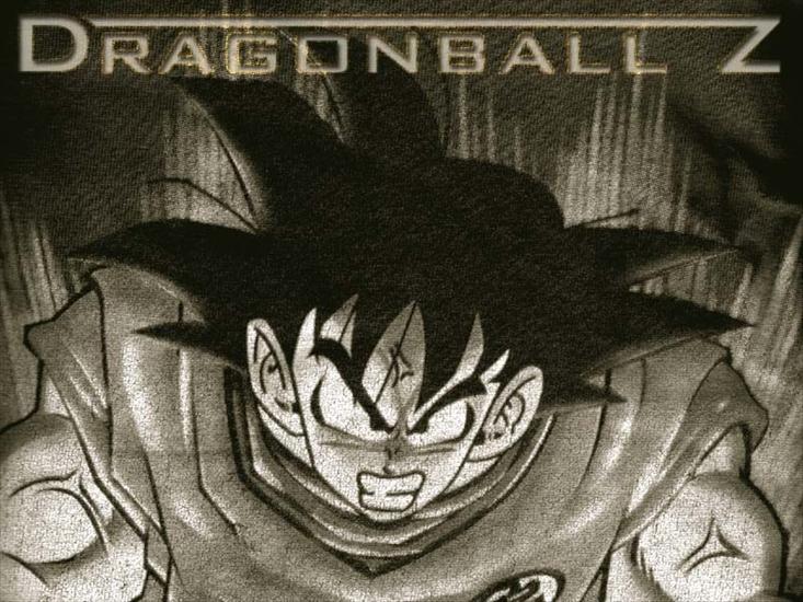 Dragon Ball Tapety - 800-79.jpg