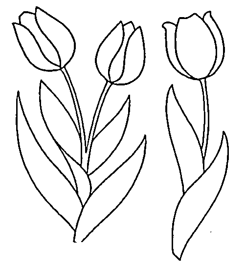 wiosna - tulpen02_gif.gif