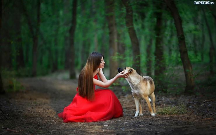 W czerwieni - 218718_dziewczyna-czerwona-sukienka-las-pies.jpg