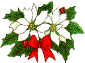 Boże Narodzenie -gify - v3_slide0008_image013.gif