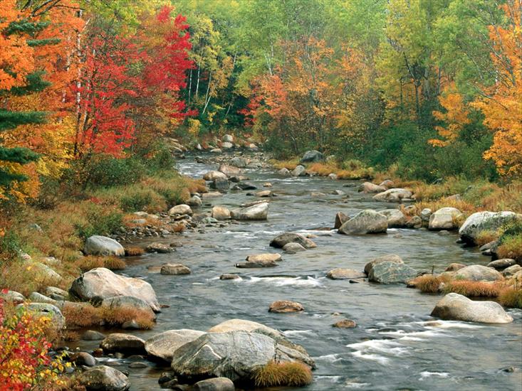 krzysiek16257 - Autumn Colors, White Mountains, New Hampshire - .jpg