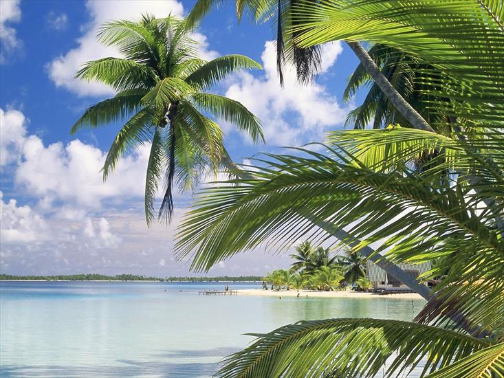 --Galeria -plaża - Takapoto Island_French Polynesia.jpg
