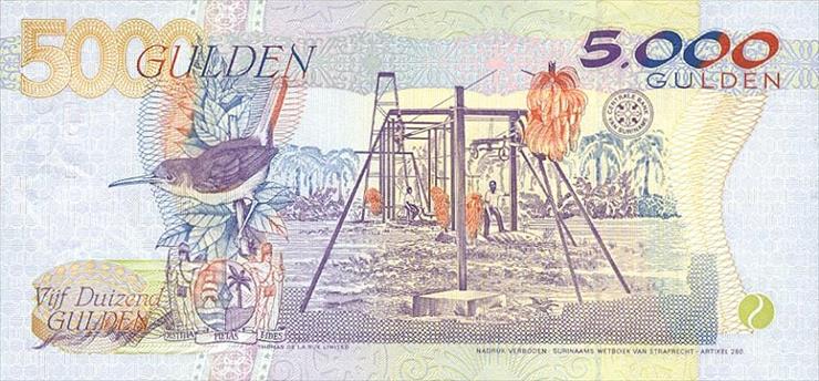 Suriname - SurinamP53-5000Gulden-1999-donatedsrb_b.jpg