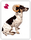 Zodiak 39 dogs - horoskopb1.gif