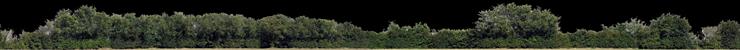 panorama drzew - ALT019-02-D.png