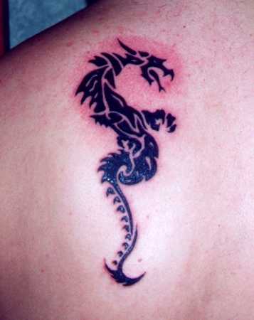Tatuaże2 - dragon8.jpg