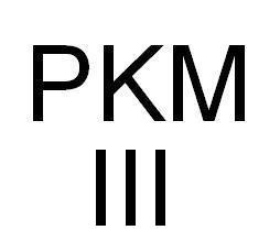 Projekt 3 - PKM III1.JPG