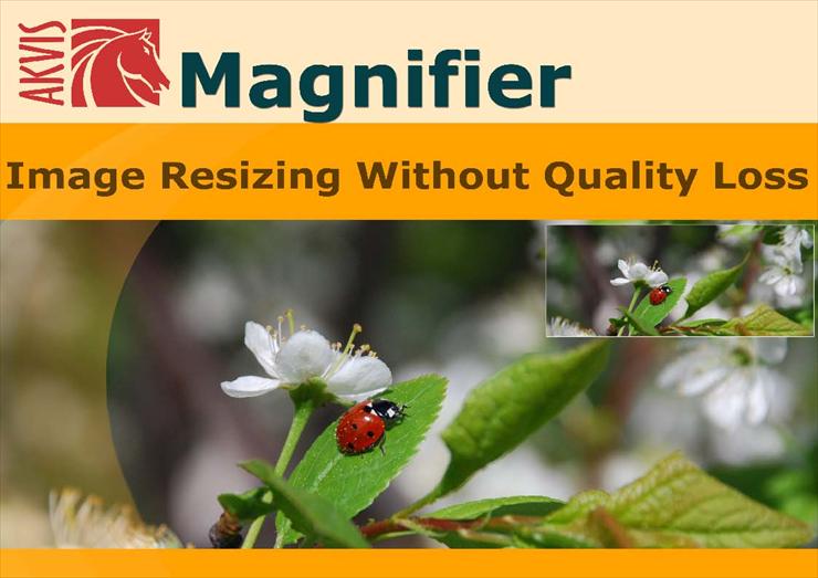 Magnifier v. 4.0 - Magnifier v. 4.0.jpg