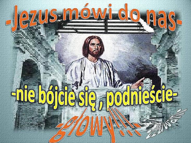 WHODZE - nbsjj3.JPG