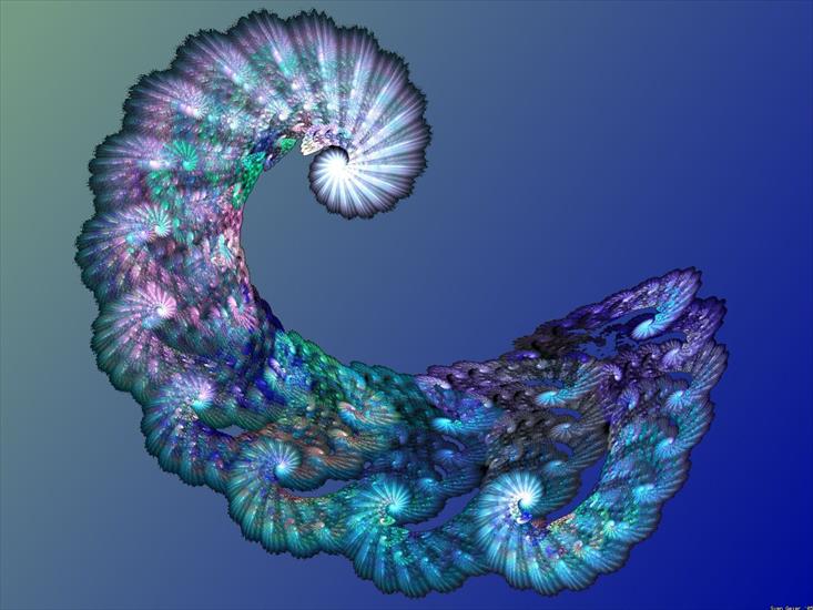  Fraktale  digital art - Spiral 2.jpg