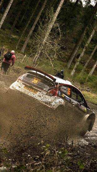 Grafika - Rally_Car-wallpaper-10625201.jpg