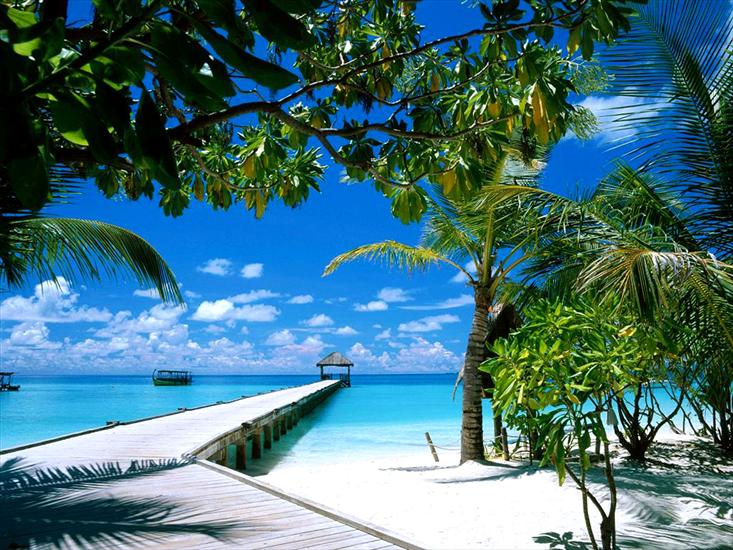 Piękne krajobrazy - ari_atoll.jpg