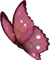 motyle - 2 - butterfly 61.png