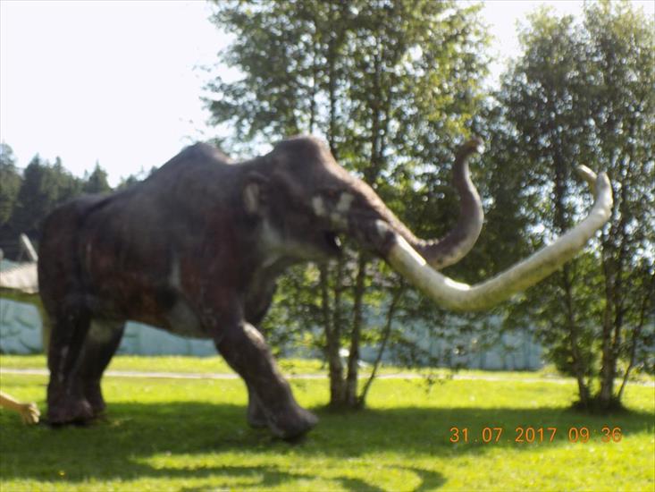Karłów - Park Dinozaurów - DSCN0867.JPG