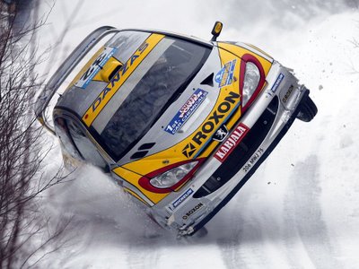 wypadki - Peugeot_206_WRC.jpg