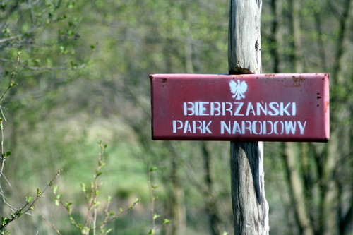 Biebrzański Park Narodowy - tytuł.jpg