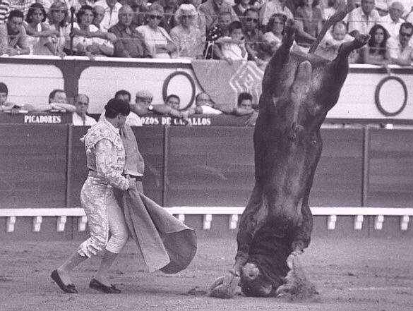 Śmieszne zdjęcia sportowe - corrida.jpg