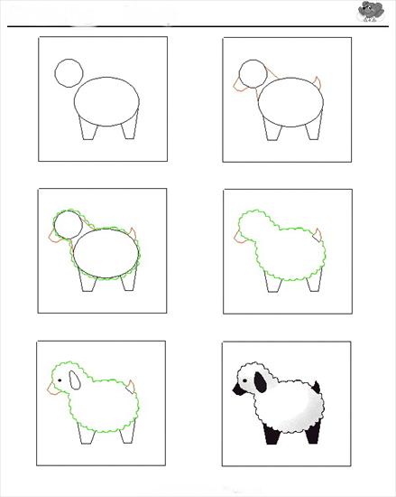 Kurs Rysowania Dla Dzieci  - owieczka.jpg