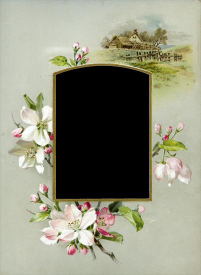 Kwiaty - Floral_Frame_No3_by_DustyOldStock1.png