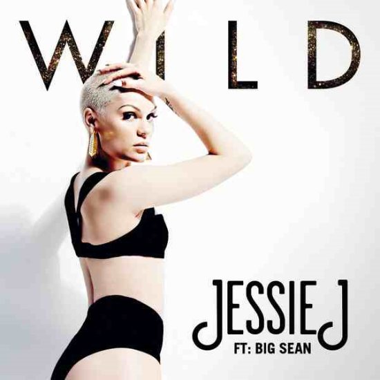 Jessie J Feat. Big Sean - Wild 2013 320 kbps - Jessie J Feat. Big Sean - Wild 2013 320 kbps.png