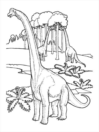 kolorowanki dinozaury - brachiosaurus.jpg