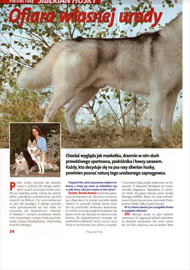 Z gazet - o psach - Siberian Husky 01.jpg
