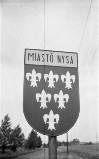 Herb księstwa nyskiego - MIASTO.NYSA.1068.jpg