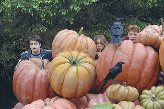 Więzień Azkabanu - Harry, Hermiona i Ron.jpg