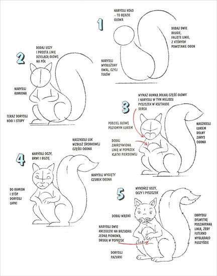 Nauka rysowania - wiewiórka.jpg