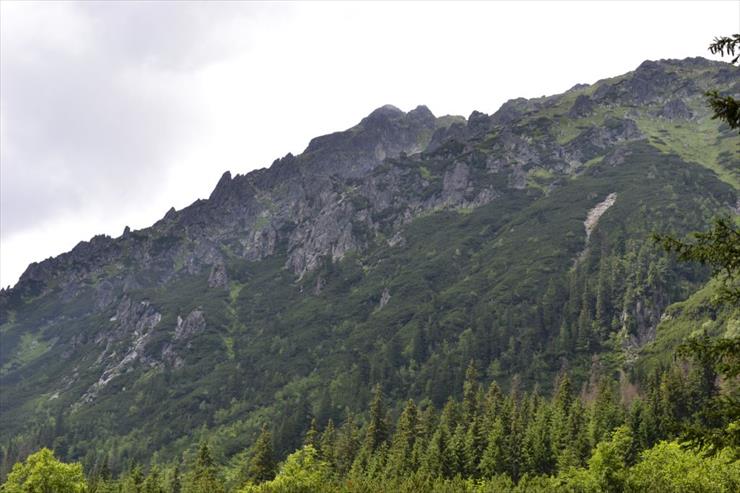 Zakopane i okolice cz.II - _DSC0079.JPG