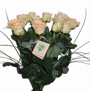 róże - kr-043-ruze-champange-11-ks.jpg