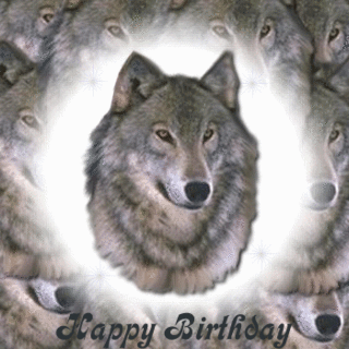 Birthday - Happybirthdaywolfcentered.gif
