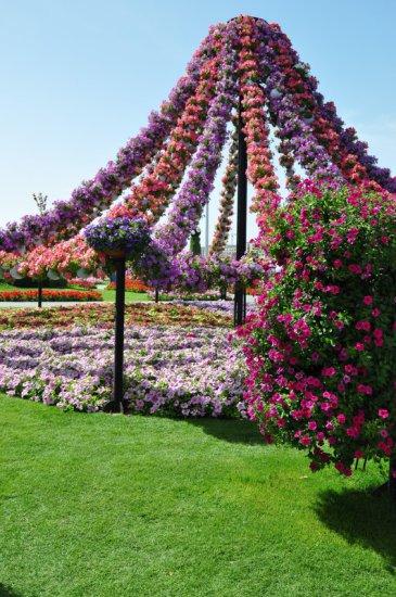 Piękny ogród kwiatowy Al Ain - 49.jpg