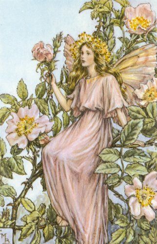 Cicely Mary Barker - The_Wild_Rose_Fairy.jpg