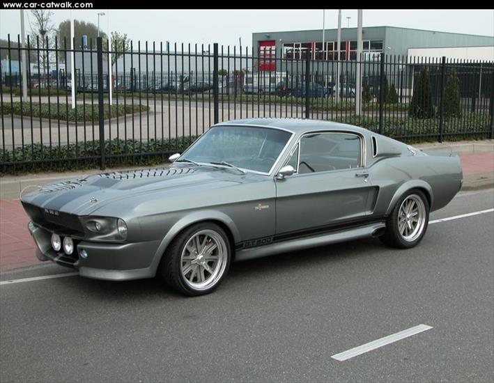 OBRAZY - ford shelby mustang gt500.jpg