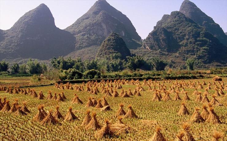 Asia - Image_0476.Guangxi_Province.Yangshuo.Li_River_Area.Harvested_Rice_Field.jpg