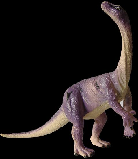 Dinozaury-PNG - n 45.png