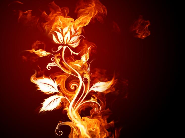 20 Flame Effects Design Wallpapers 1600 X 1200 - 15.jpg