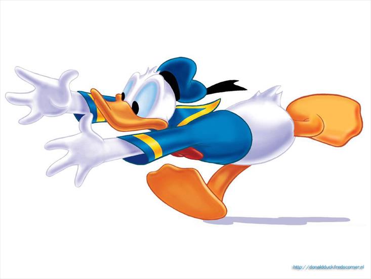 gify kaczor donald i spółka - donaldduck005.jpg