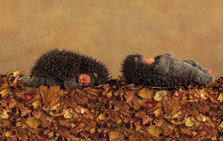   ZDJĘCIA  ANNE GEDDES - galeria anne geddes 291.jpg