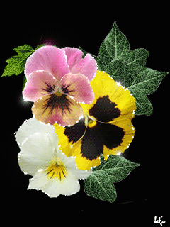  Kwiaty - 0_87411_36fd5b23_orig.jpg