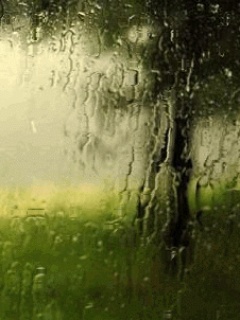 Tapety na Telefon - Animated_Rain2.jpg