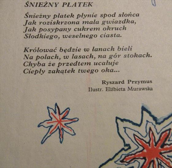 Ryszard Przymus - Ryszard Przymus-Śnieżny płatek.jpg