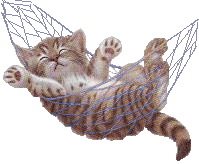 Kociaki - kotek w hamaku.gif