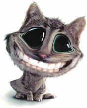 Tapety - Smiling_Cat.jpg