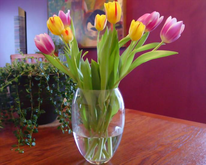 Kwiaty - 34922-Tulips_1280x1024.jpg