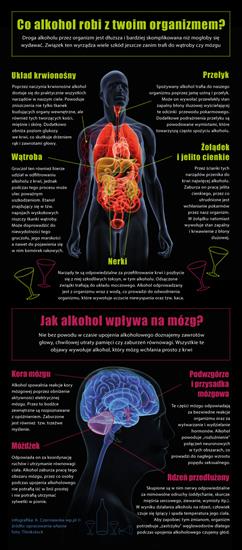 Infografika - alkohol_infografika3.jpeg