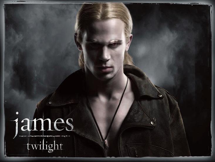 Saga Zmierzch - Twilight - James.png